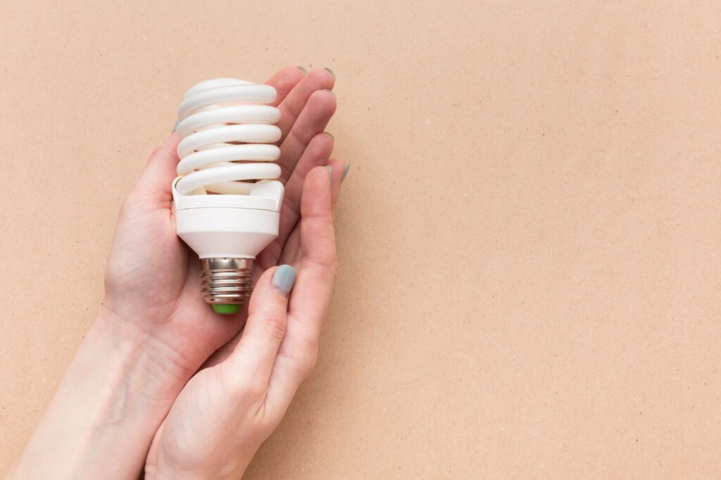 factura de la luz