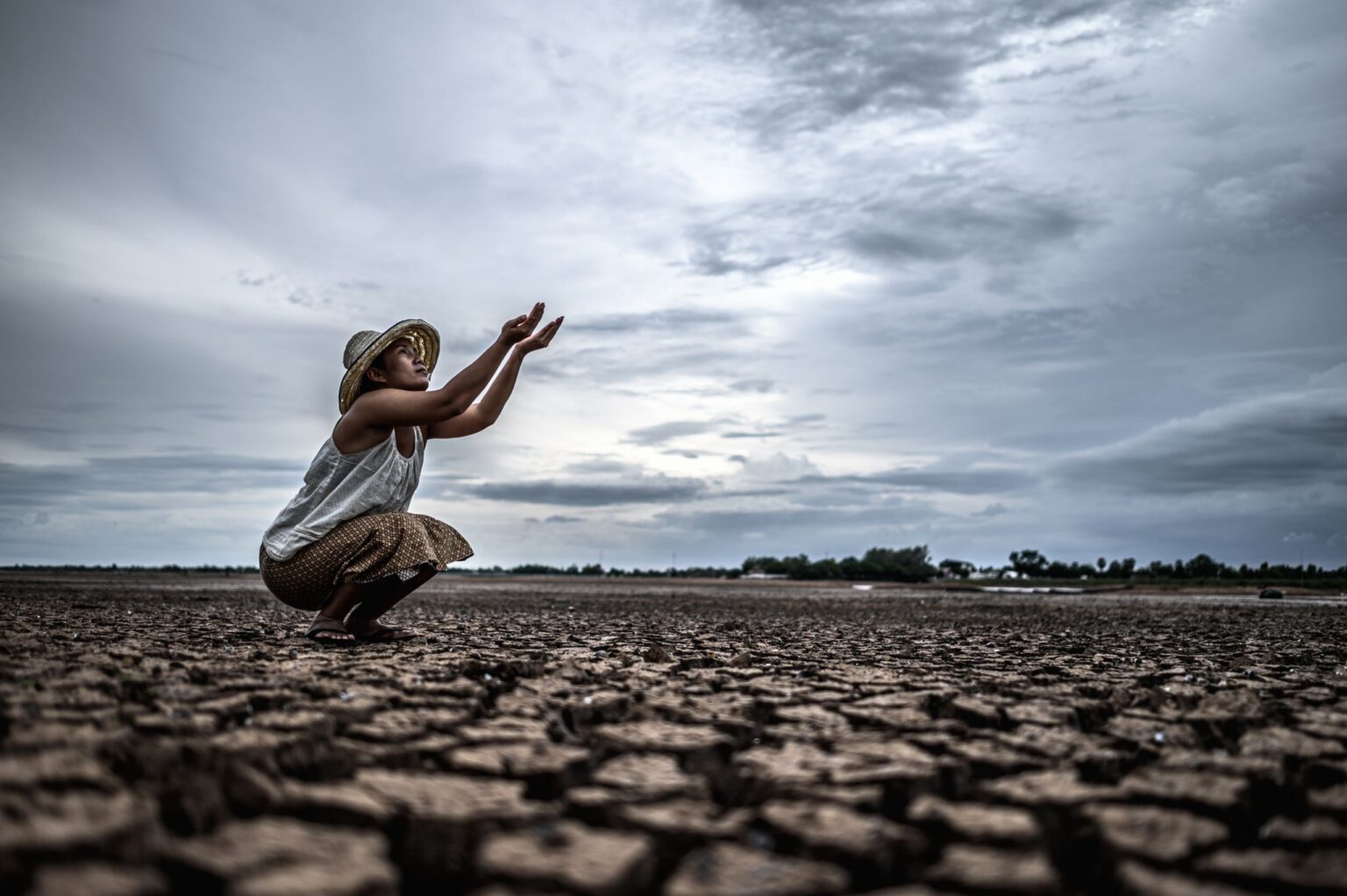 Cómo Afecta el Cambio Climático a tus Finanzas Personales: Consejos y Estrategias