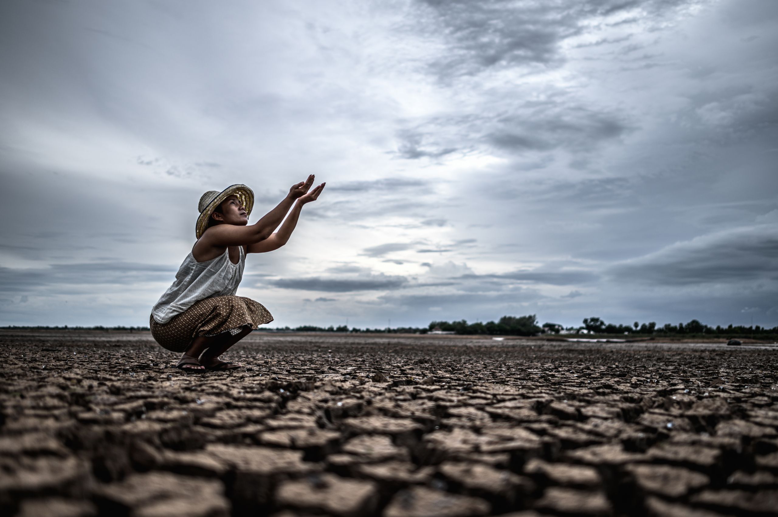 Cómo Afecta el Cambio Climático a tus Finanzas Personales: Consejos y Estrategias