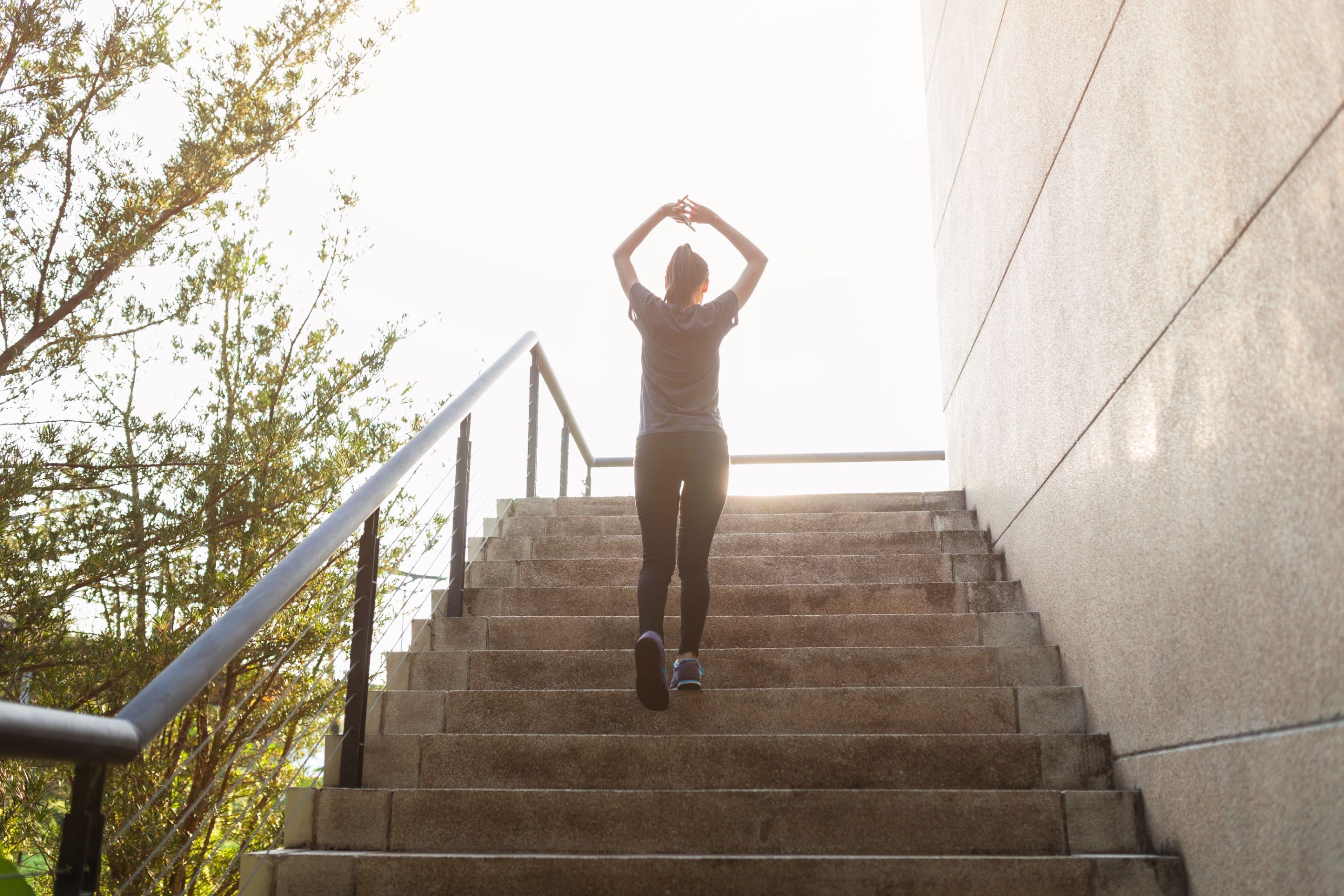 Desarrollo Personal y Motivación: Claves para Transformar tu Vida