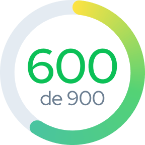FinScore 600 de 900